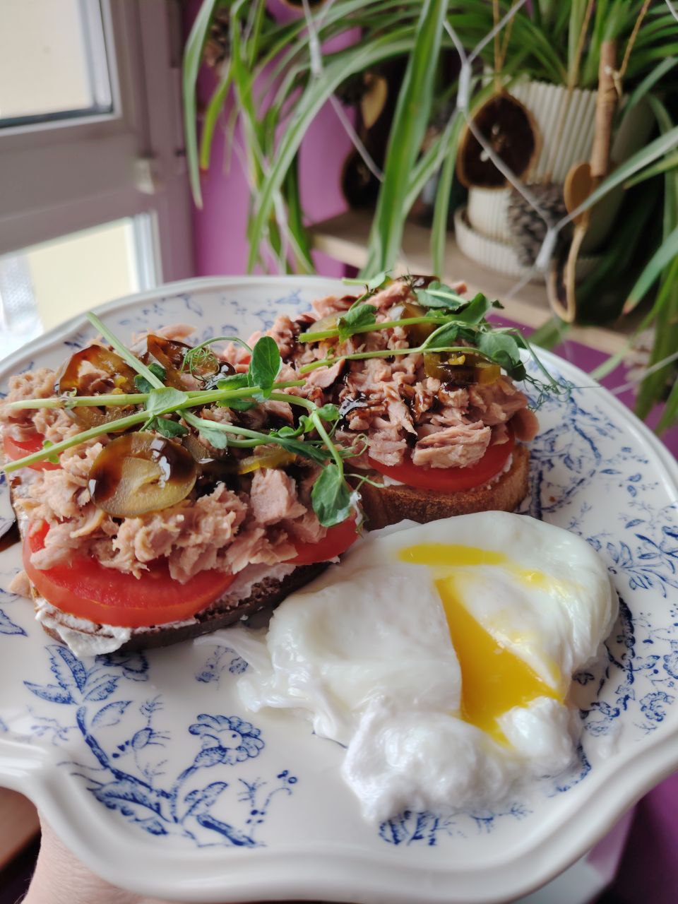 Бутерброды с тунцом и яйцом Пашот