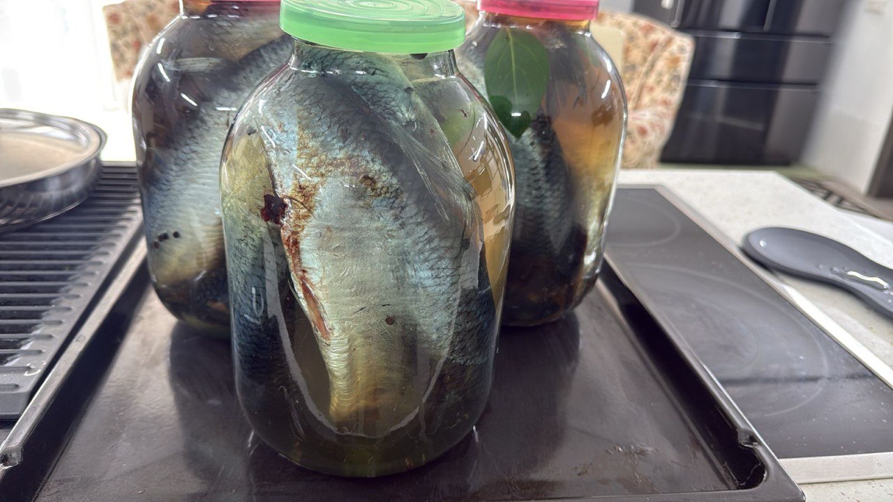 Малосольная сельдь