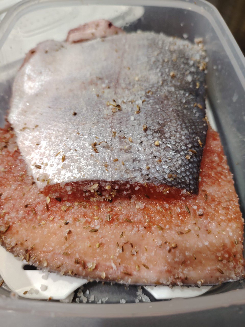 Форель малосольная