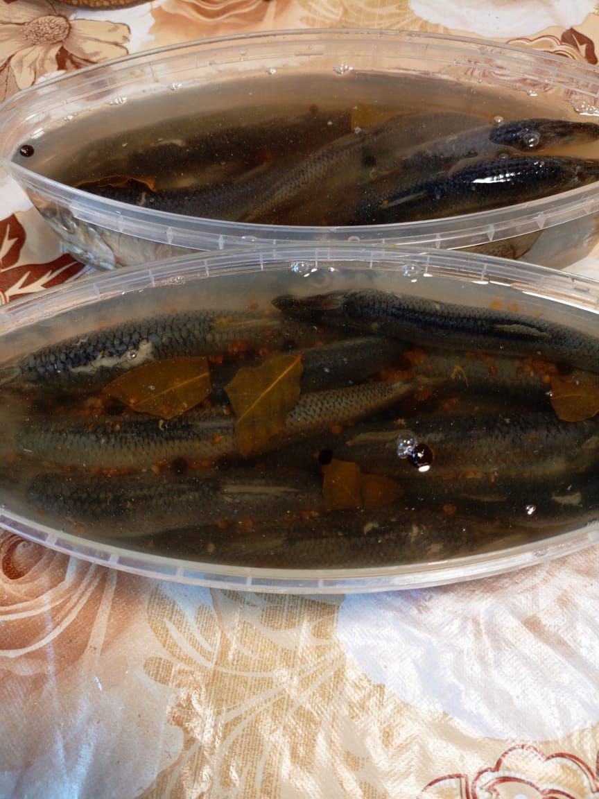 Салака домашнего пряного посола