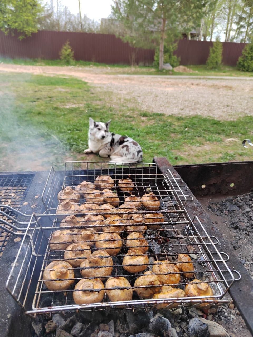 Шампиньоны на мангале