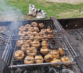 Шампиньоны на мангале