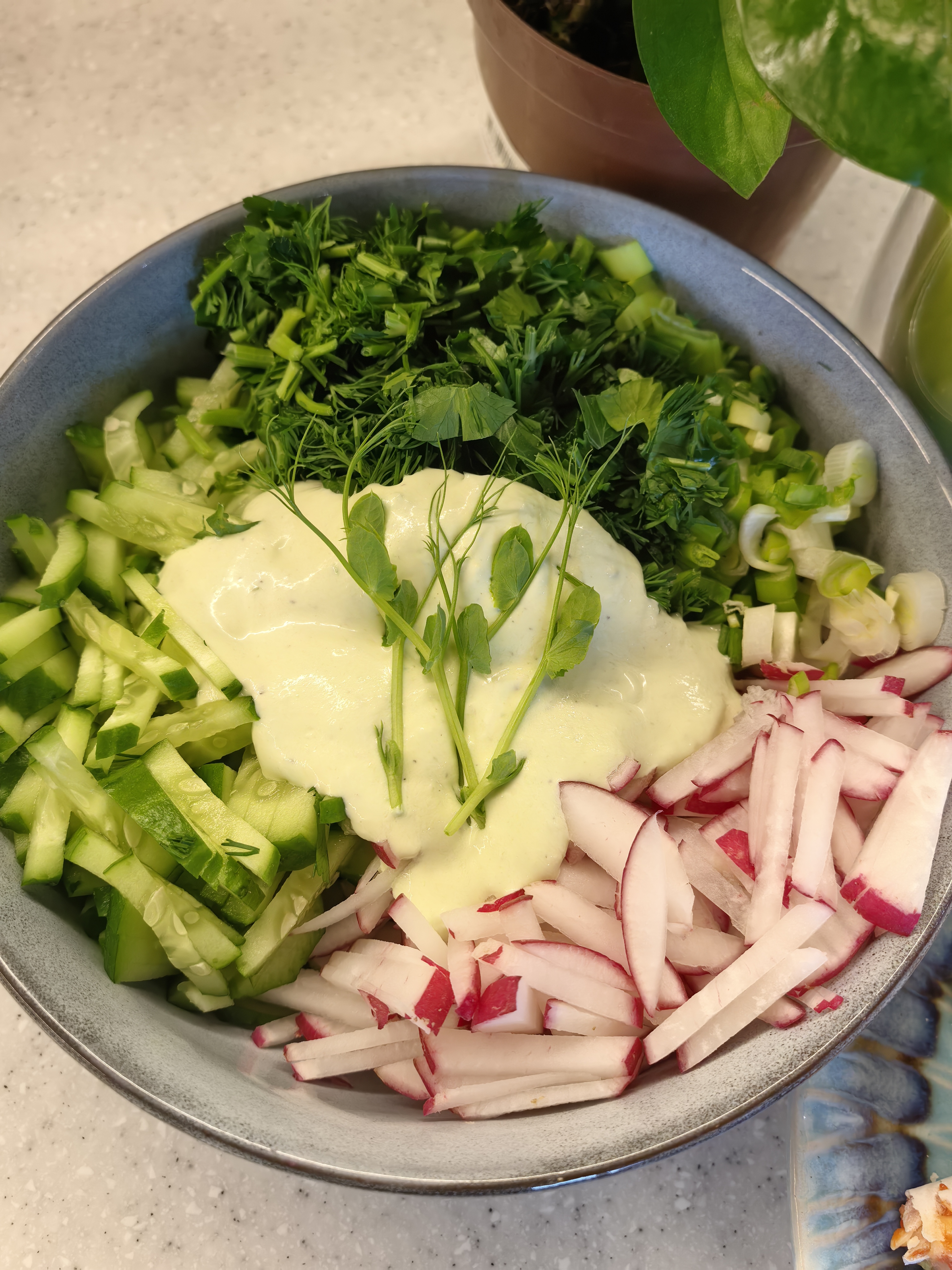 Весенний салат